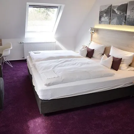 ホテル Tannenheim 2*